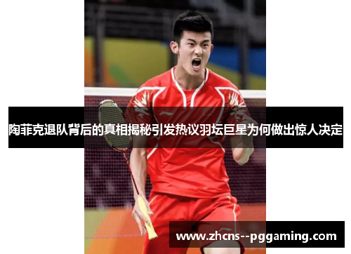 陶菲克退队背后的真相揭秘引发热议羽坛巨星为何做出惊人决定